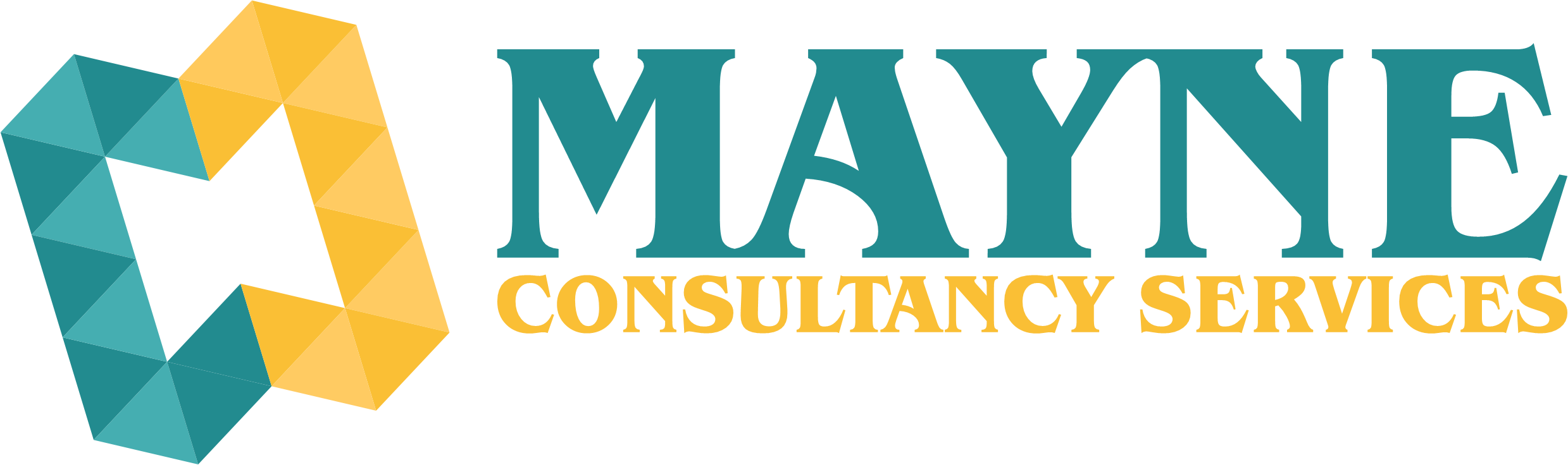 Mayne Tech Solutions logo